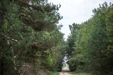 Фото номера Четырехместный номер с ванной комнатой Гостевой дом Lesnaya Paulinka г. Mlyny 9